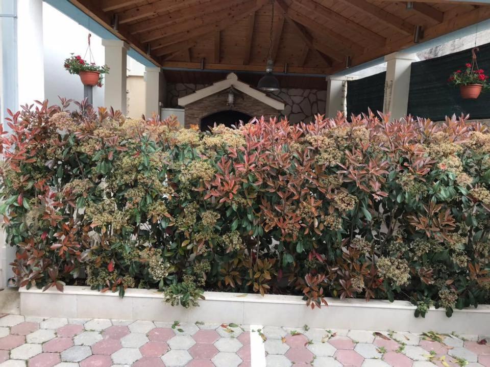 Apartmani Mane Trogir Exteriör bild